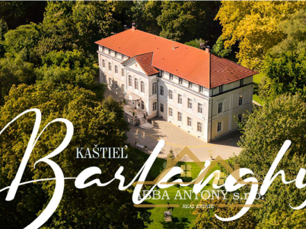 HISTORICKÝ KAŠTIEĽ S ROZSIAHLYM PARKOM | TRÁVNICA (OKRES NOVÉ ZÁMKY)